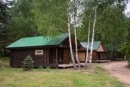 Дзик - 3