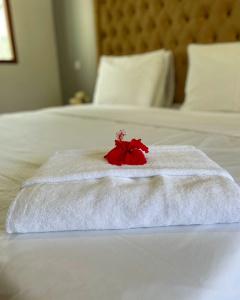 Sunny Palms Beach Bungalows - 19