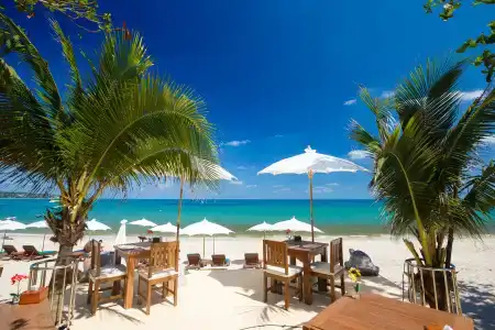 Lamai Coconut Beach Resort - 19