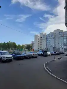 Брусника - 2