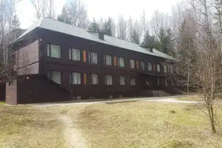Воробьи - 5