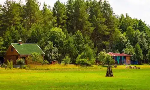 Лесной Эдем - 3