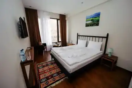 Mountain House Kazbegi - 2