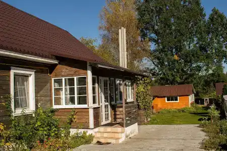 Боровики - 4