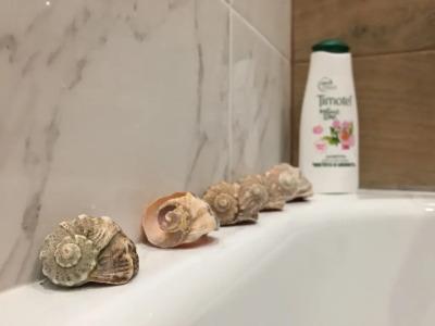 Новые ЛЮКС на Чапаева - 10