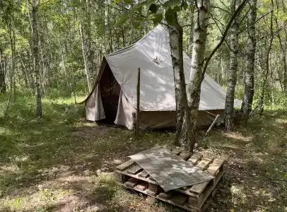 Звездный лес - 149