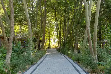 Rano Eco Village - 12