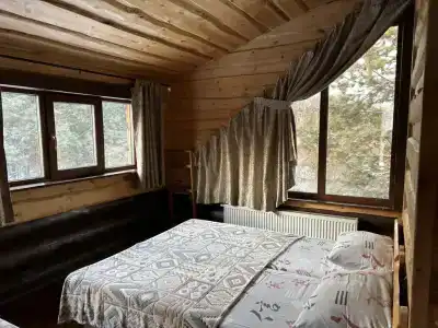 Серебряные ручьи - 4