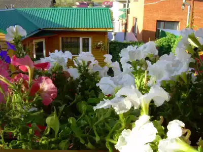 Ивановский - 1