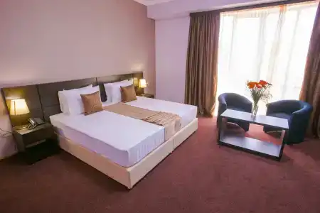 Ani Central Inn - 9