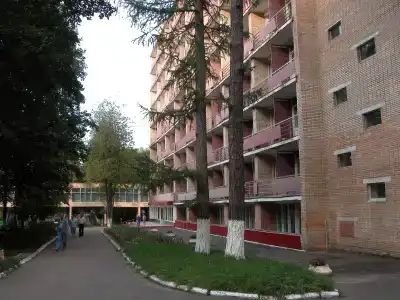 Воробьево - 29