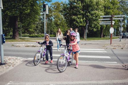 Saimaa Life - 4