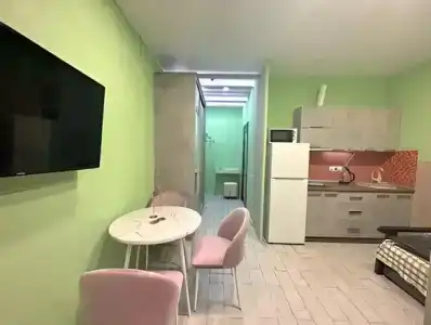 Солнечный дом в Олимпийском Парке - 4