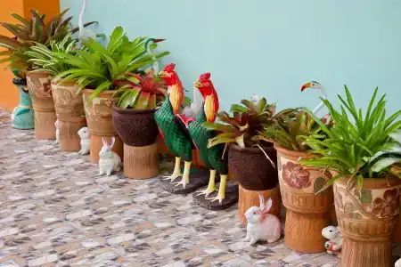 Jardin - 20