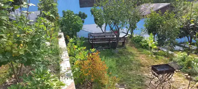 Зеленая гора - 6