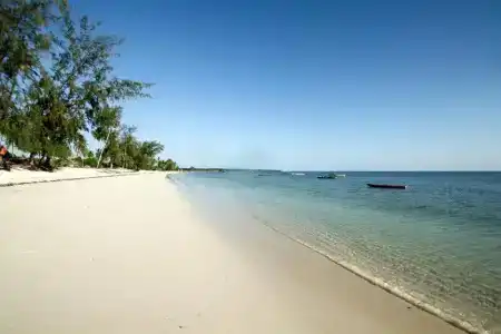 Fruit & Spice Wellness Zanzibar - 25