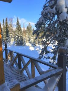 Vacation Home Ski Park - 37
