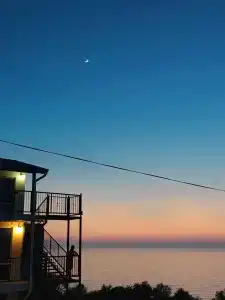 Дельфин - 10