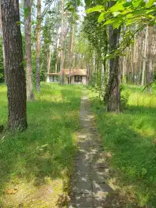 Зеленый луг - 12