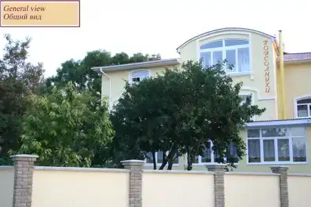 Подсолнухи - 0