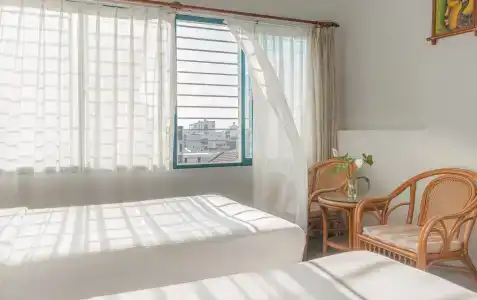 Green - 6