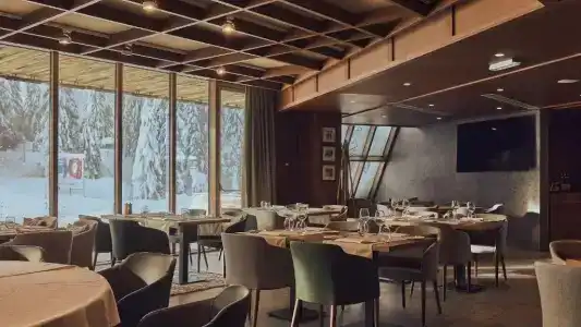 Grey Kopaonik - 6
