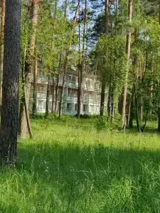 Зеленый луг - 1