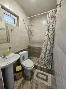 Камелия - 23
