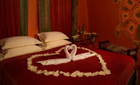 Luxury House ECO-& Spa - 18