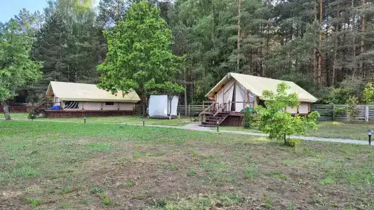 Магия леса в Беловежской пуще - 168