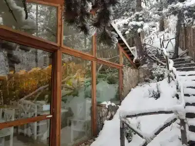 Popock Dilijan 1 - 15