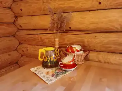 Дом-баня - 2
