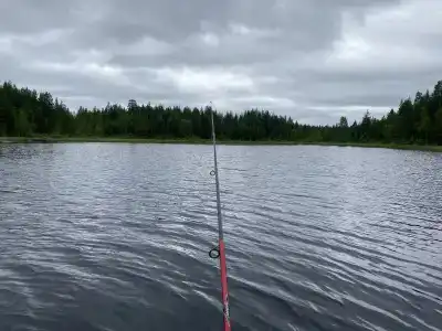 На рыбалку - 1