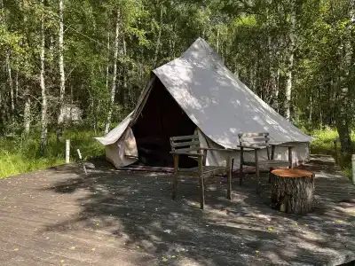 Звездный лес - 62