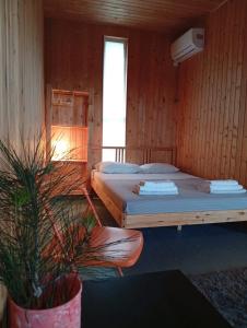 Pine Beach - 58