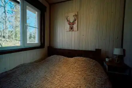 Берег Ладоги - 49