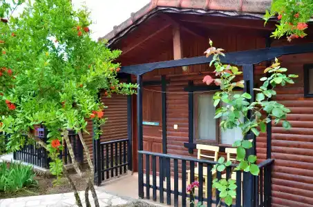 Koala Bungalows - 32