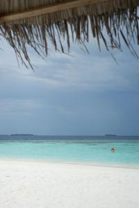 Boutique Beach All Inclusive Diving - 21