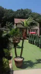 Alfa-hotel - 11