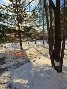 Аура - 1