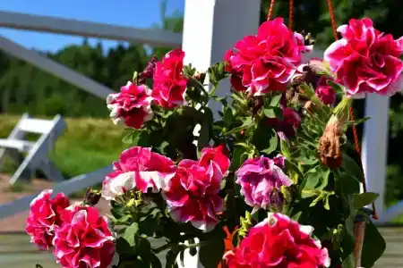 Саари - 2