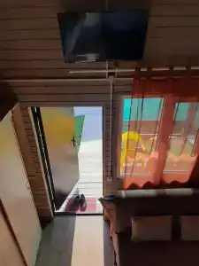 Пальма - 2