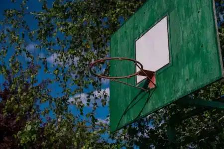 Ателика Улиткино - 29