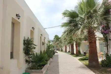 Viras - 14