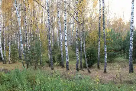 Владимир - 14