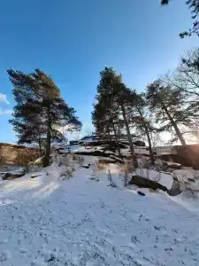 Аура - 13
