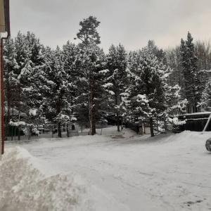 Lake House - 21