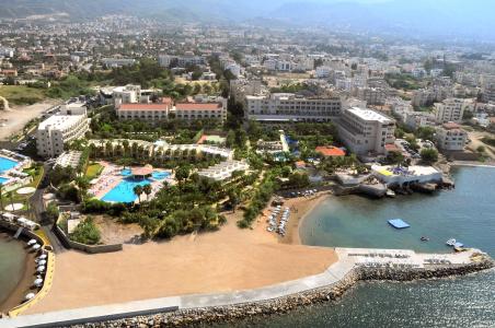 Oscar on a Sandy Beach & Casino - 2