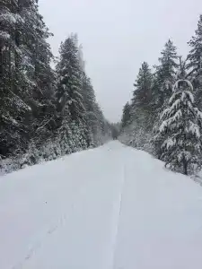 Дом в Байнево - 19