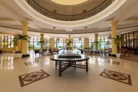 Golden Tulip - 25
